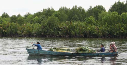 Flodtransport p Borneo