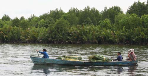 Flodtransport på Borneo
