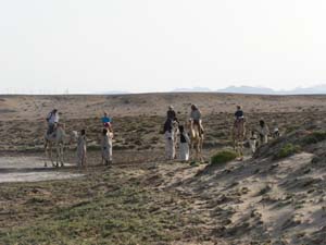 Gruppefoto med kameler